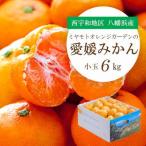 ふるさと納税 八幡浜市 【2025年11月より順次出荷】小さいみかんを厳選!愛媛みかん 小玉6kg【訳あり】【C25-48】