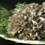 fu.... налог дешево средний город .. гора .....naba. Mai .1kg коробка (2 АО )