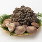 fu.... налог дешево средний город .. гора .....naba. . пол сырой ..* Mai . набор 