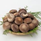 妙義山の麓育ったナバの菌床生椎茸700g箱入り