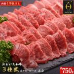 おおいた和牛3種盛 カルビ ロース 赤身 合計750g