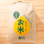 お米の代表格 コシヒカリ 玄米30kg