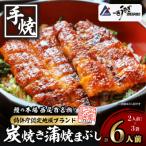 一色産炭焼き蒲焼まぶし2人前セット×3袋