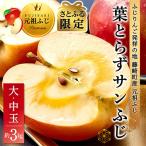 葉とらずサンふじ 約3kg