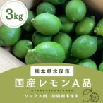 レモン A品3kg 県認証特別栽培