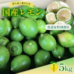 レモン 訳あり5kg 県認証特別栽培