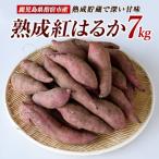 指宿産 紅はるか 約7kg