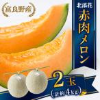 ショッピングふるさと納税 メロン ふるさと納税 富良野市 【2026年6月下旬順次発送・先行受付】】　富良野産メロン　北添花(赤肉メロン2玉　計約4kg)