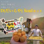 三代目 D Soul セット 目白大学の学生が考案
