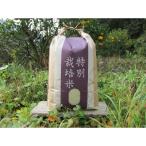 2026年 産もち米 はりまもち 白米10kg