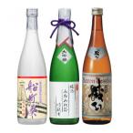 大垣むすびの地 こだわりの地酒セット 720ml×3本
