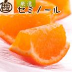 厳選 セミノールオレンジ2.5kg+250g