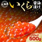 ふるさと納税 洞爺湖町 北海道産 いくら醤油漬け 250g 2パック(合計500g)