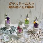 プリザーブドフラワーアレンジ シュガーパイン