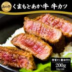 の逸品 ヘルシーな赤身 あか牛牛カツ 特製だし醤油付き 50g…