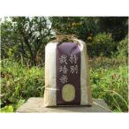 2026年 産もち米 はりまもち 白米5kg