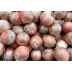 ショッピングふるさと納税 玉ねぎ ふるさと納税 日高町 北海道産玉ねぎ　約18kg