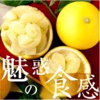 高知産 柑橘 3L
