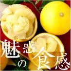 高知産 柑橘 3L