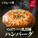 ふるさと納税 登別市 のぼりべつ豚ハンバーグ120g×5個