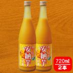 種子島産 安納芋のお酒720ml 2本セット