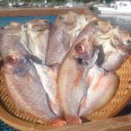 ふるさと納税 舞鶴市 贅沢干物セット