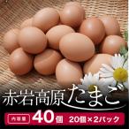 fu.... налог Mai журавль город красный скала высота . Tama .20 штук входит ×2 упаковка 