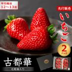 ふるさと納税 大和高田市 【先行予約】奈良県産いちご 古都華 化粧箱入り2パック【2025年12月中旬から発送】