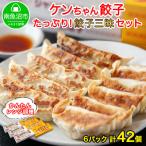 ふるさと納税 南魚沼市 新潟県 南魚沼市 チルド手焼き餃子・ジャンボ餃子 食べ比べ セット 計42個 ケンちゃん餃子