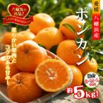 爽やかな香り 酸味が少なく甘みの強い ポンカン 約5kg