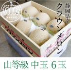 静岡産 クラウンメロン 中玉 約1.3kg