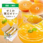愛媛の高級柑橘 せとか寒天ゼリー12個セット