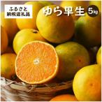ゆら早生 和歌山で生まれた極早生みかんの優良品種を