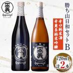 勝ち山日和セットB