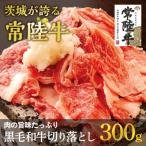 常陸牛厳選 切り落とし300g