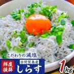 日間賀島産 1kgしらす こだわりの減塩