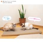 猫のつめとぎ 小 おおきめサイズで2枚入り
