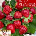 ショッピングふるさと納税 いちご ふるさと納税 大網白里市 【2026年1月発送開始】【黒いちご】・真紅の美鈴(中サイズ)