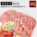みかも牛 焼肉用300g