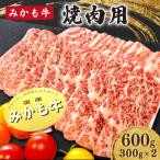 みかも牛 焼肉用600g 300gx2
