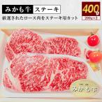 みかも牛 ステーキ400g 200gx2枚