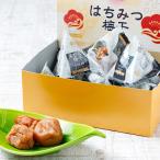 紀州南高梅 はちみつ梅干 テトラピロー 12個入り