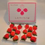 産いちご やよいひめ 約400g×2
