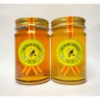 OKAWA HONEY 2個セット