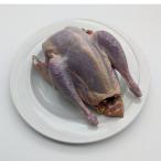 鬼北きじ丸鳥