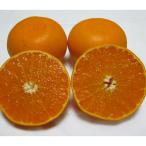 小豆島のせとか 約5kg