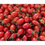 fu.... налог шар название город sa The ki сельское хозяйство .. Aiko 3kg