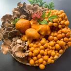 fu.... налог Hakusan город Hakusan. .( бамбук )