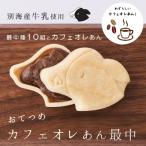 おてつめカフェオレあん最中10組セット