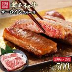 牛肉 宮崎牛 ロースステーキ 250g×2